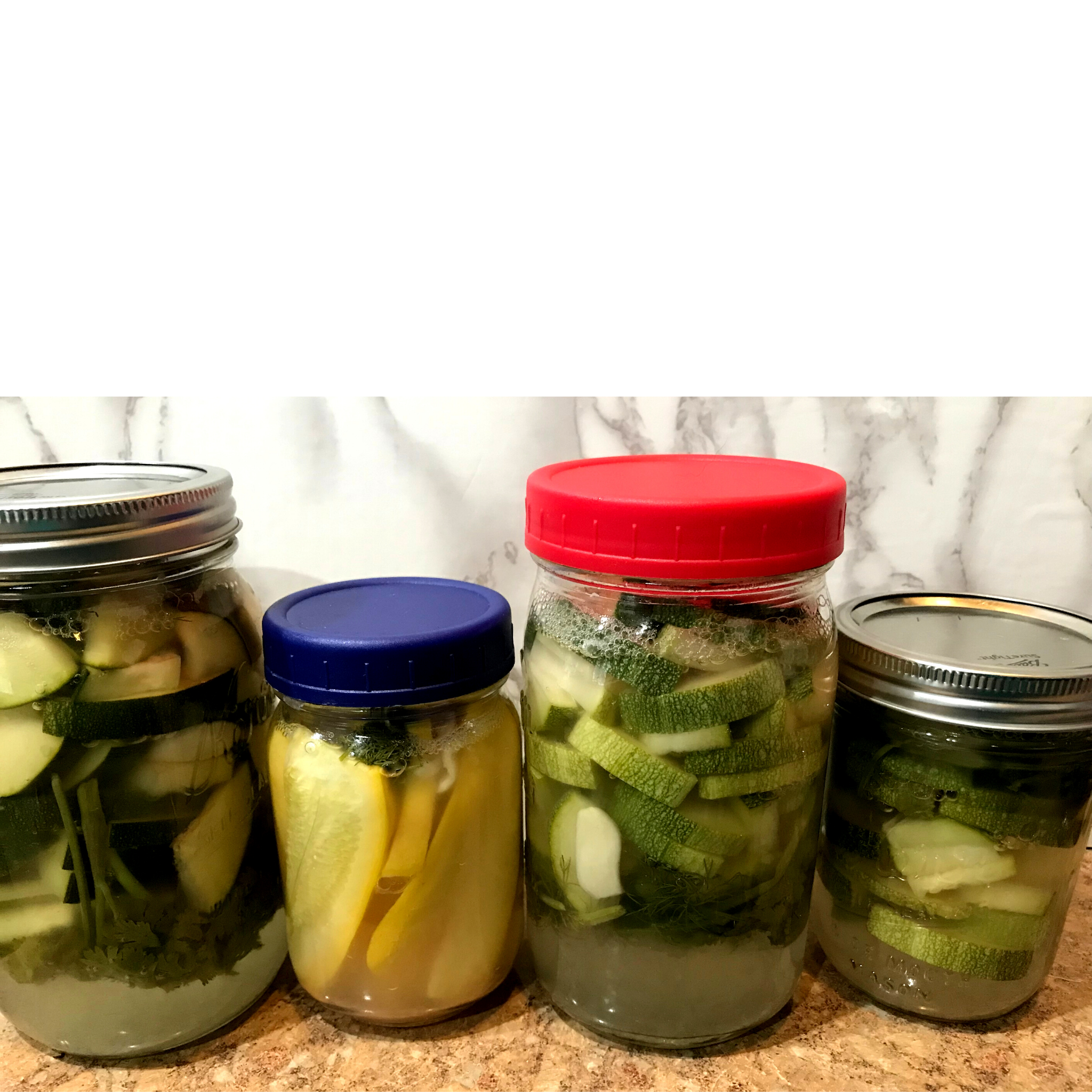 Fermented Zucchini Recipe Fermented Zucchini Recipe