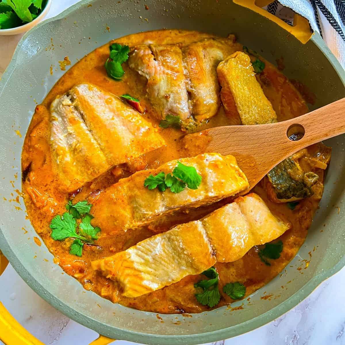 Cooked salmon indian curry.