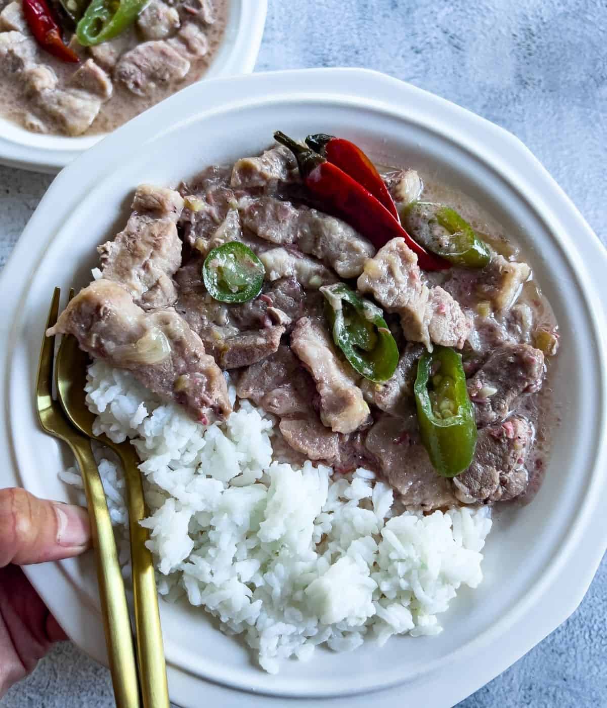 Im holding a pork bicol express in a plate. 