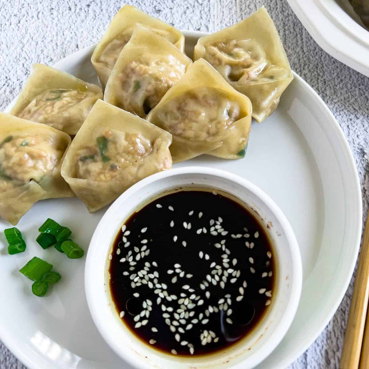 Finish dish of vegan tofu dumplings on a plate with dipping sauce.