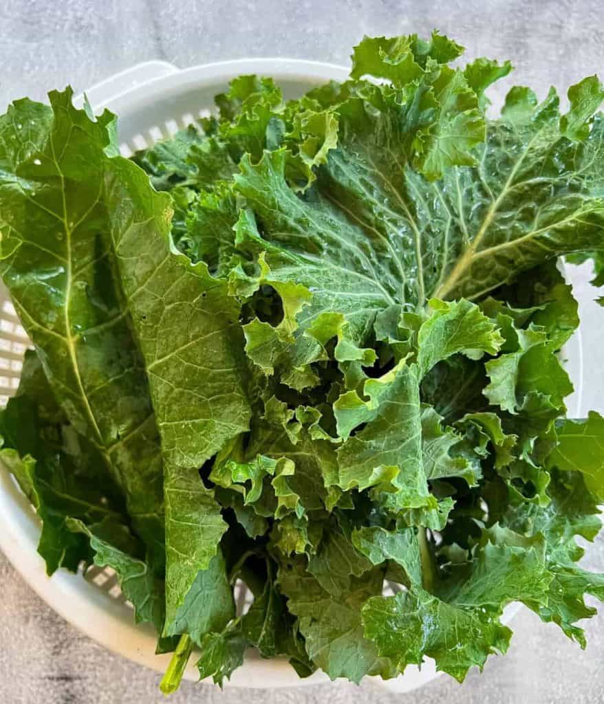 Fresh kale leaves.